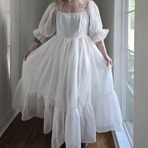 Gorgeous Princess Dress 1X